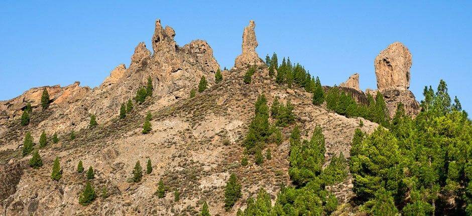 Roque Nublo + Szlaki na Gran Canaria