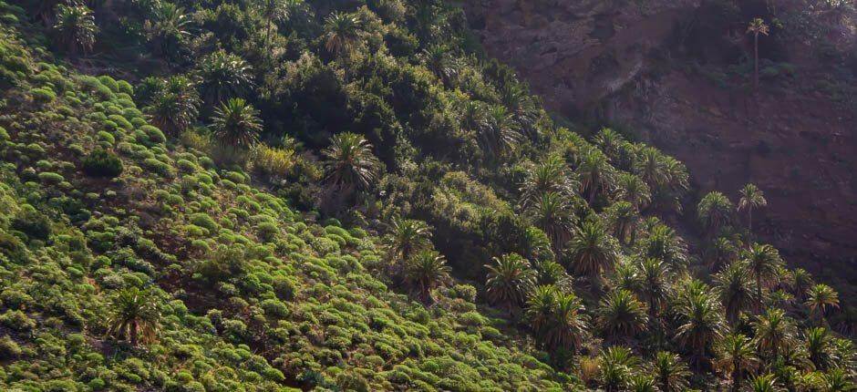 Taguluche, osada na wyspie La Gomera