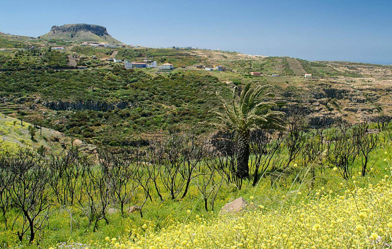 Valle Gran Rey-La Calera. Senderos de La Gomera