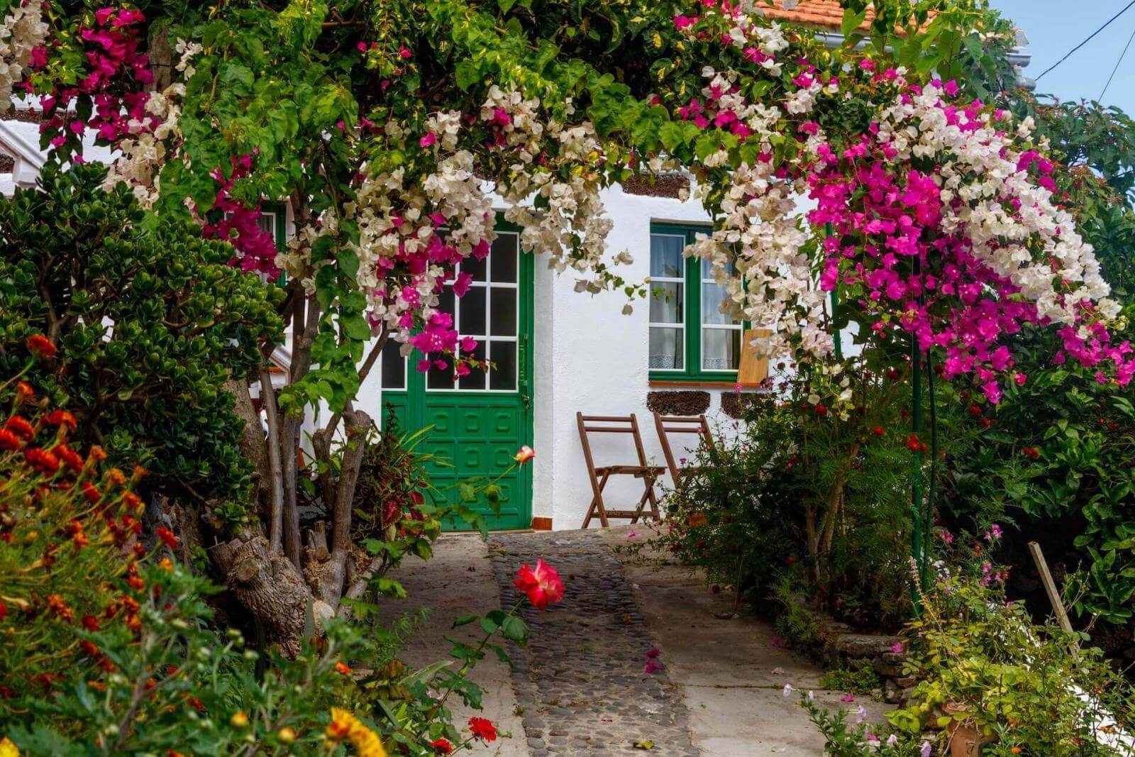 Sabinosa. El Hierro.