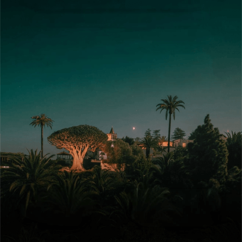 fabiolasocaseduardorojo