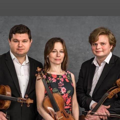 trio_amani