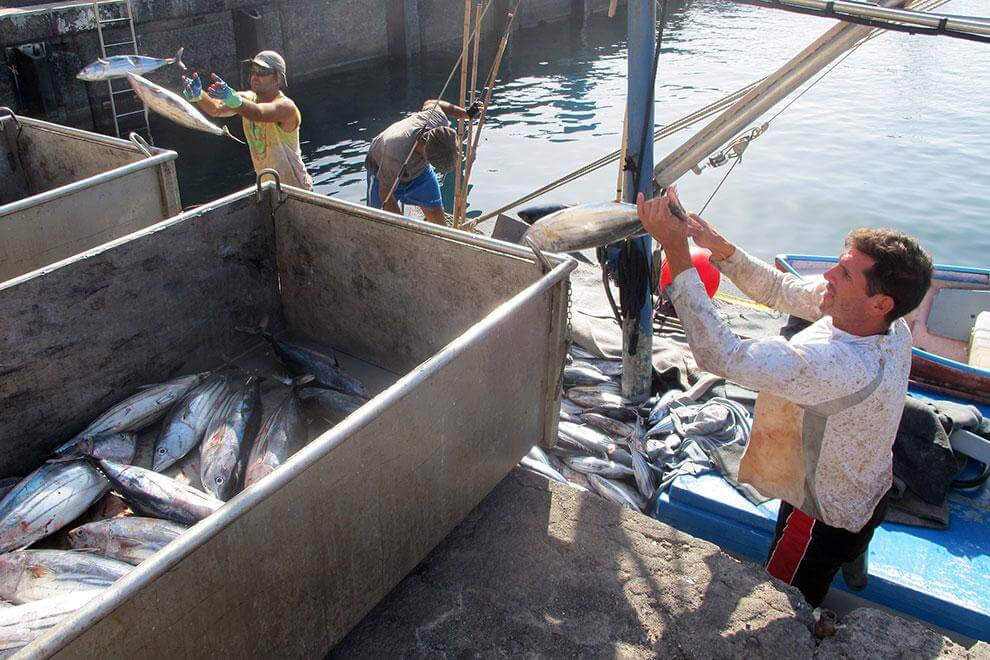 El Hierro. Pesca Artesanal