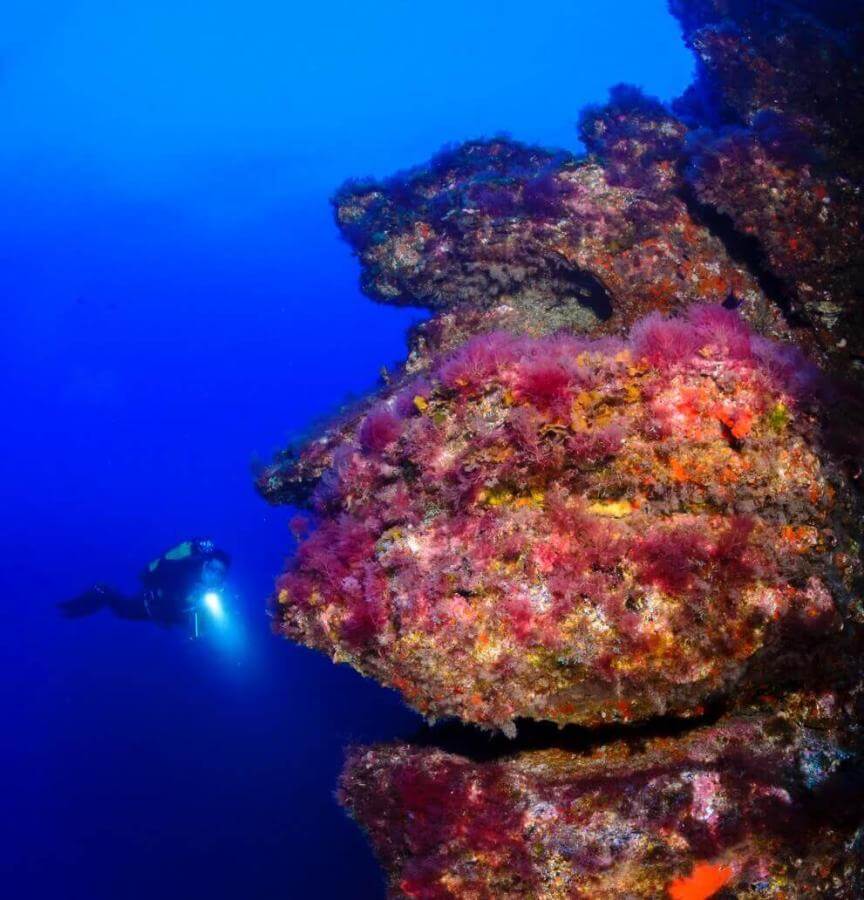 Reserva marina Punta Restinga, Mar de Las Calmas. El Hierro.