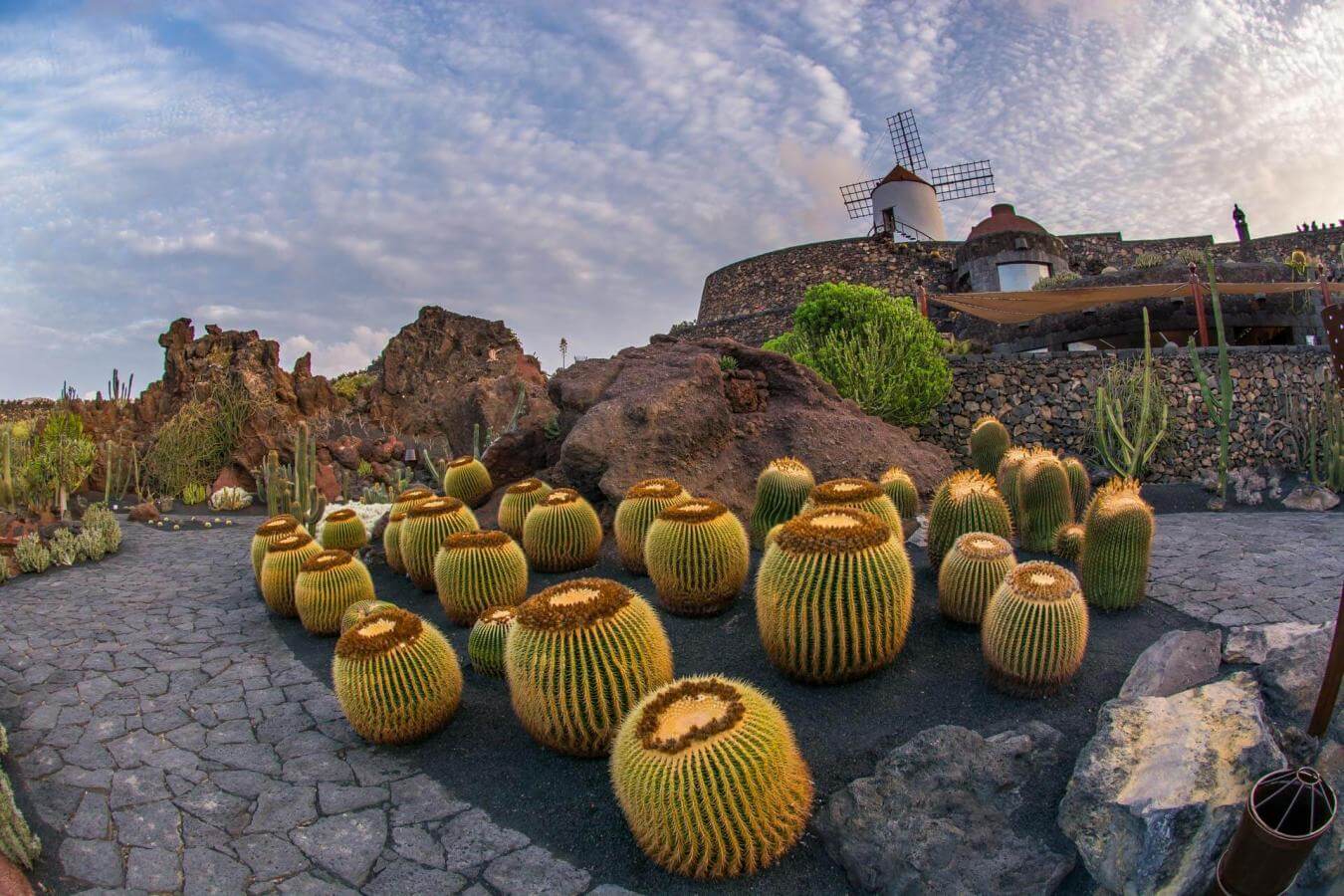 Excursión al Jardín de Cactus, Mirador del Río y Jameos del Agua - galeria3