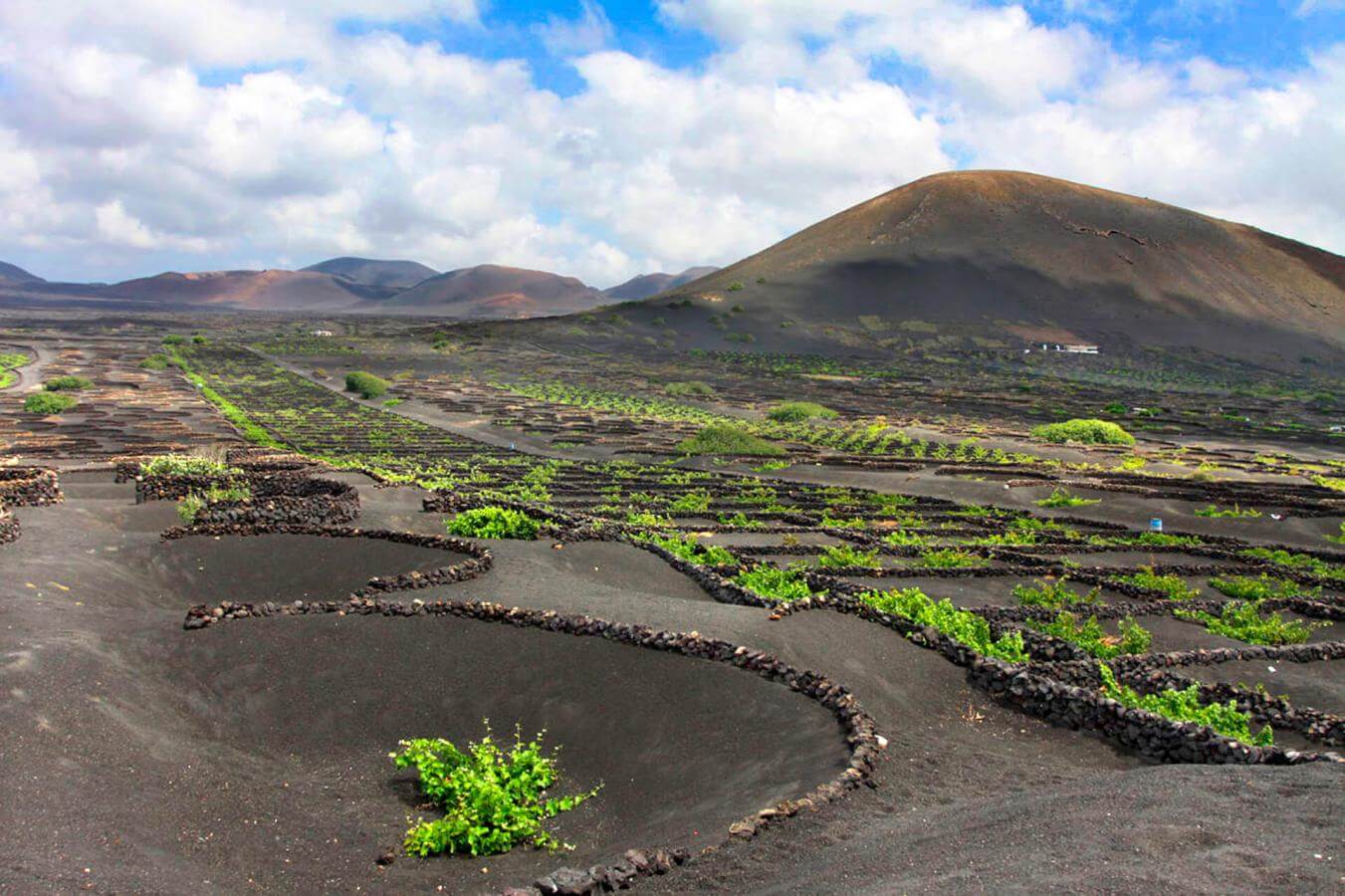 Paisaje Protegido de La Geria, en Lanzarote