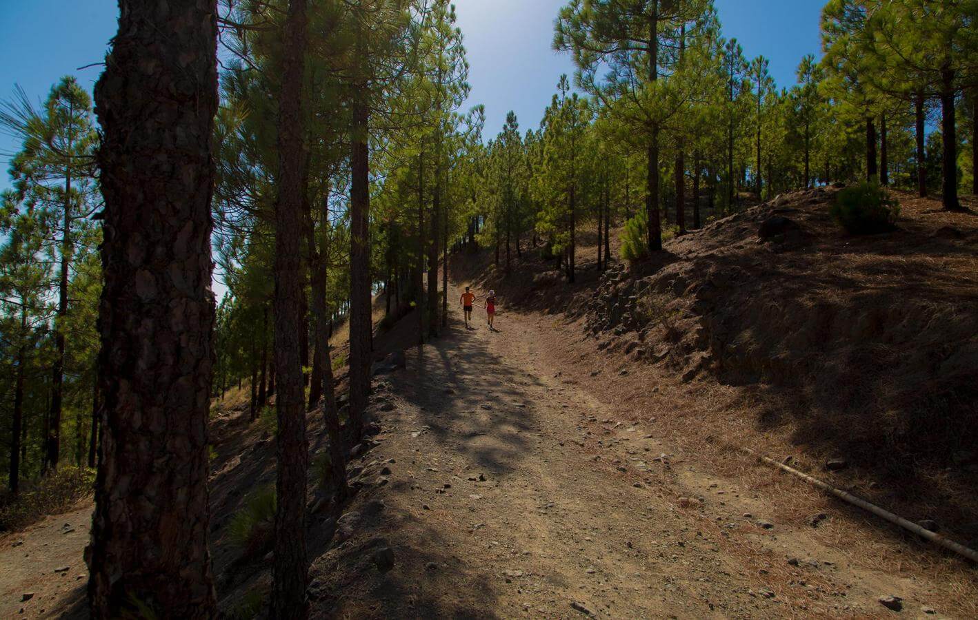 Agaete - Artenara-Trail