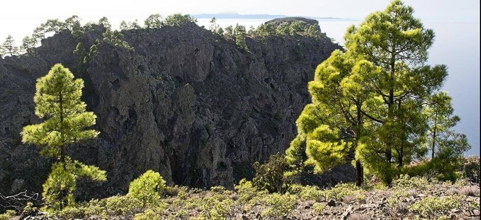 Tamadaba-Bajada de Faneque + Szlaki na Gran Canaria