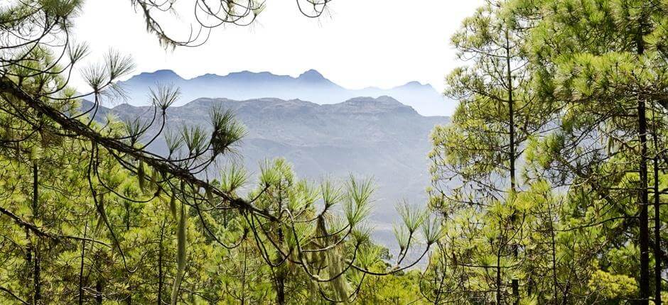 Tamadaba-Bajada de Faneque + Szlaki na Gran Canaria