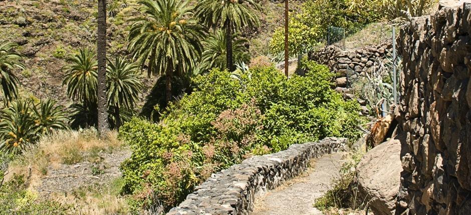 Plaża Santiago-Benchijigua, Szlaki turystyczne na wyspie La Gomera