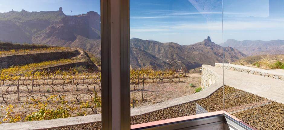 Bodega Bentayga na Gran Canaria