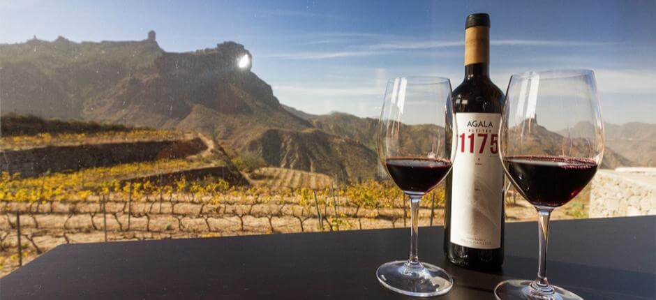 Bodega Bentayga na Gran Canaria