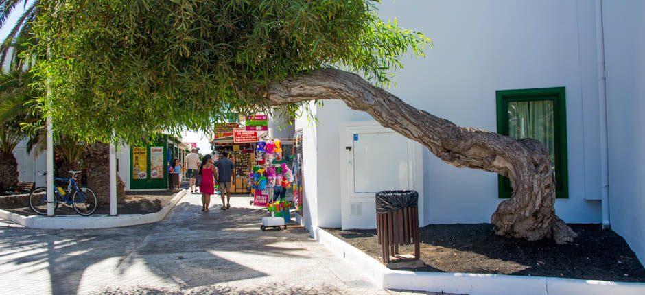 Wybrzeże Costa Teguise Kierunki turystyczne na Lanzarote