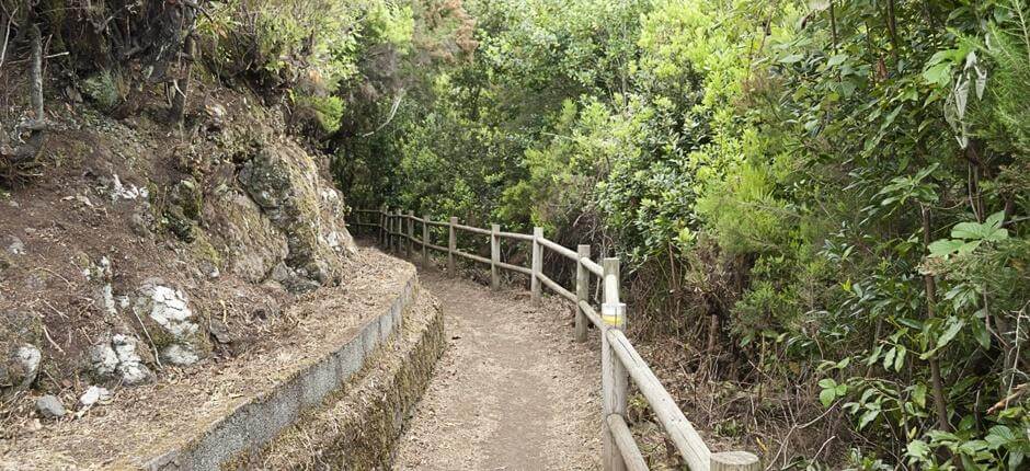 Cubo de la Galga, Szlaki turystyczne na wyspie La Palma