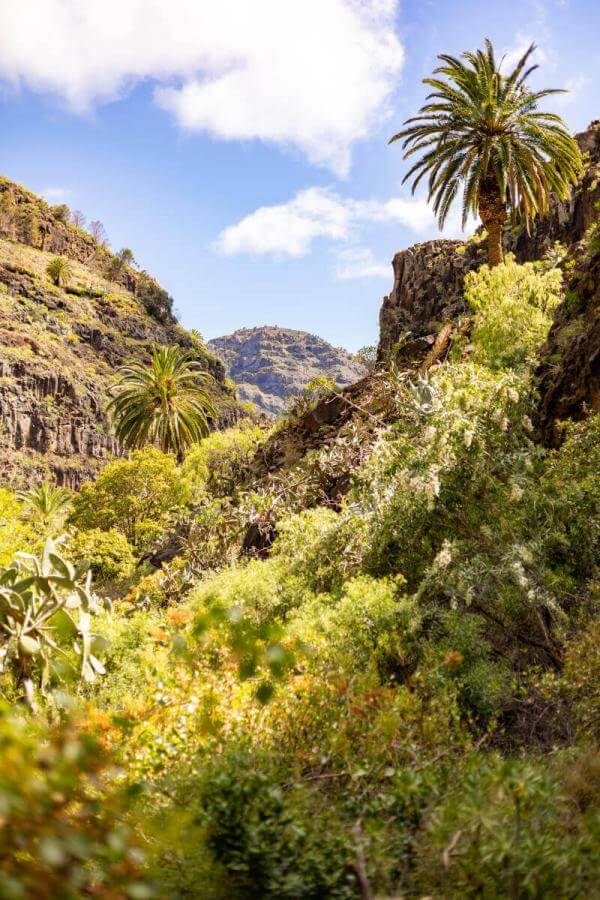 Sendero a la cascada en el barranco de Arure