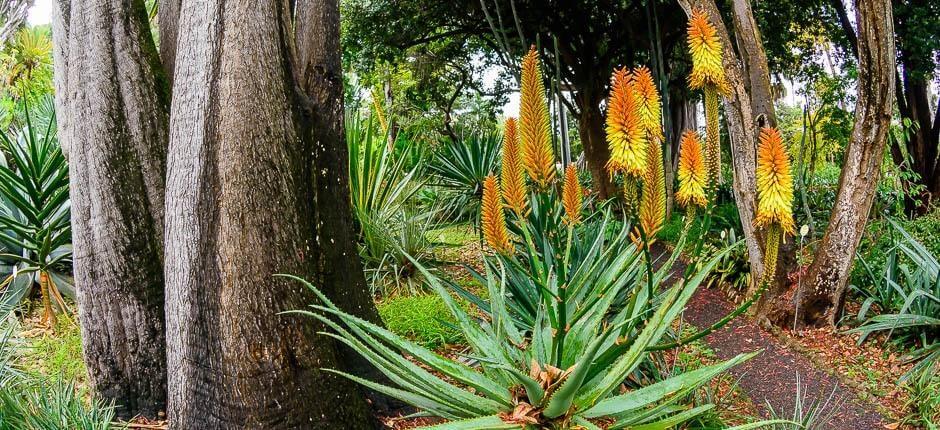 Jardín de Aclimatación de La Orotava Muzea i centra turystyczne na Teneryfie