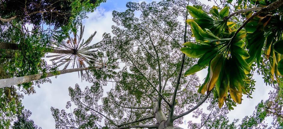 Jardín de Aclimatación de La Orotava Muzea i centra turystyczne na Teneryfie