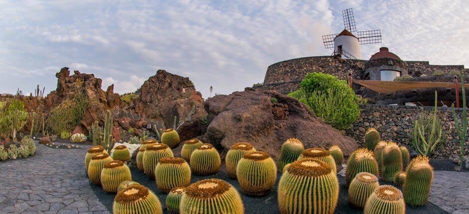 Jardín de Cactus Muzea i centra turystyczne na Lanzarote