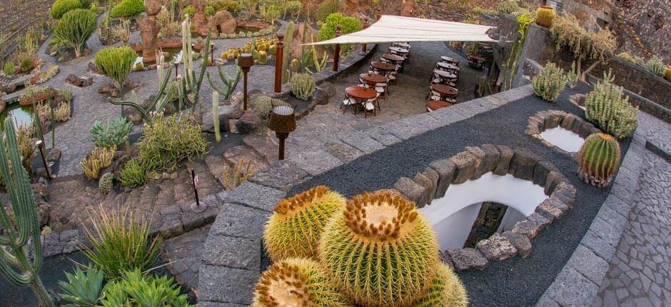 Jardín de Cactus Muzea i centra turystyczne na Lanzarote