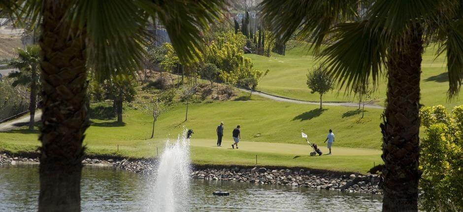 Las palmeras Golf Pola golfowe de Gran Canaria