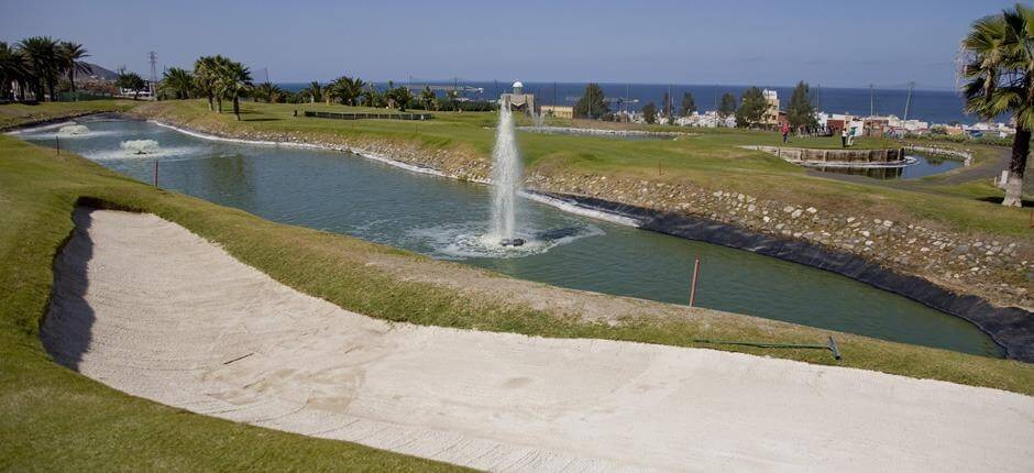 Las palmeras Golf Pola golfowe de Gran Canaria