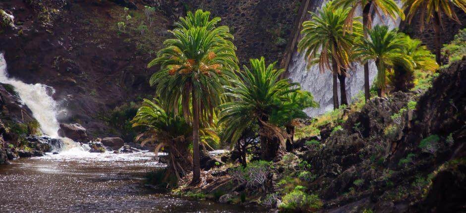 Chejelipes osady na wyspie La Gomera