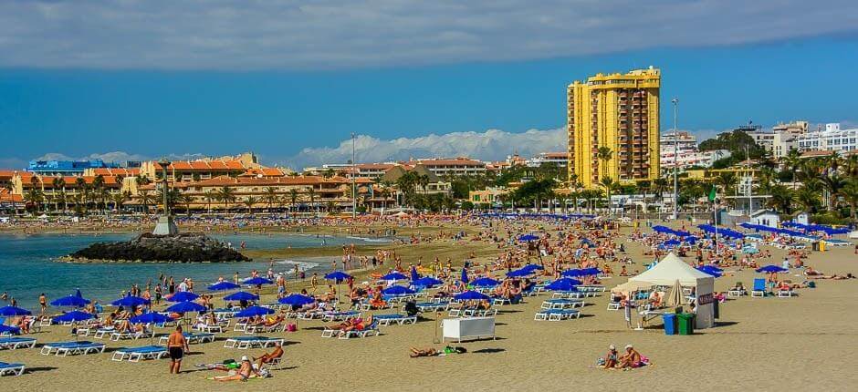 Los Cristianos Kierunki turystyczne na Teneryfie