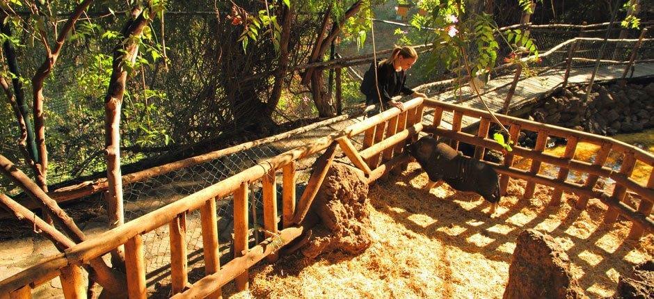 Maroparque Ogrody zoologiczne na La Palma