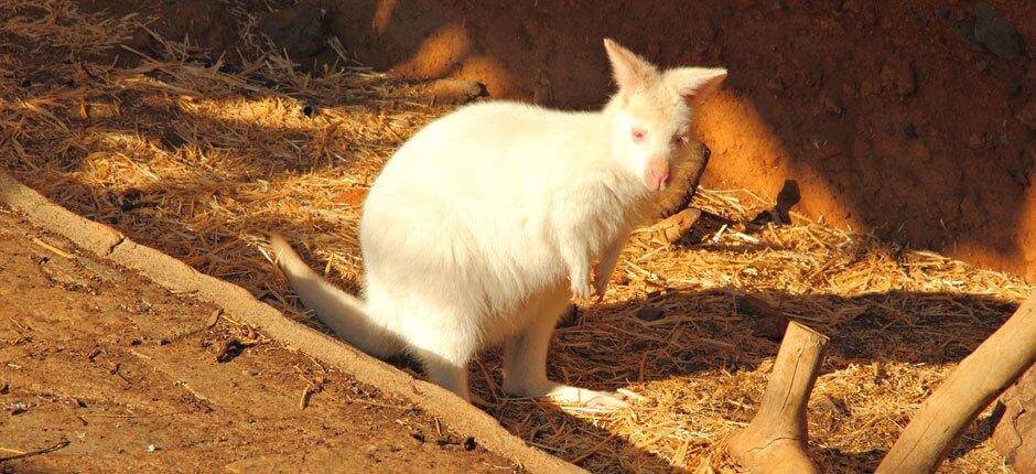 Maroparque Ogrody zoologiczne na La Palma