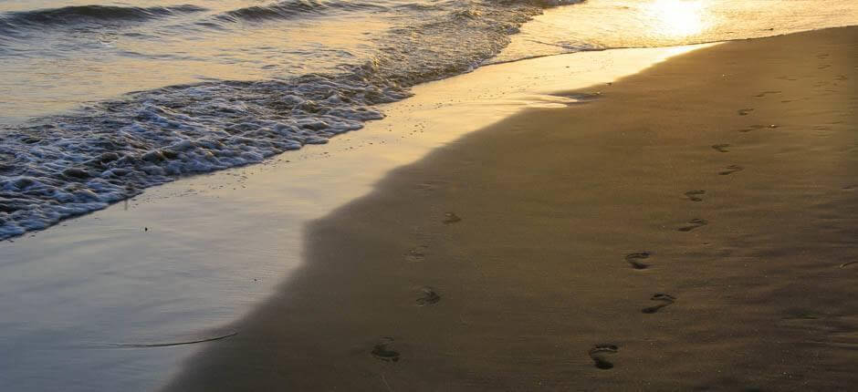 Plaża Maspalomas Popularne plaże na Gran Canaria