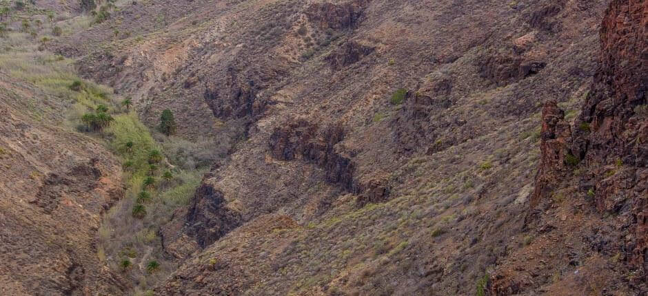 Mirador de la Degollada de la Yeguas Gran Canaria
