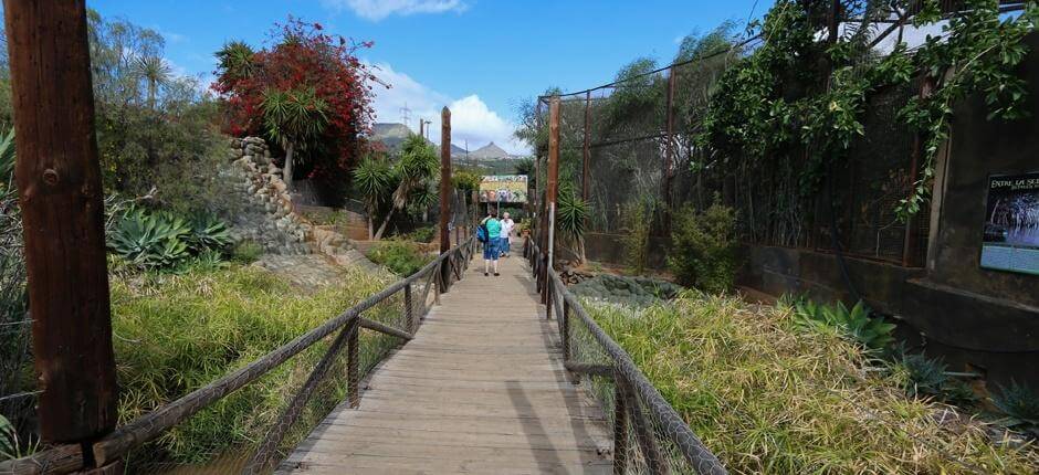 Monkey Park Tenerife Ogrody zoologiczne na Teneryfie