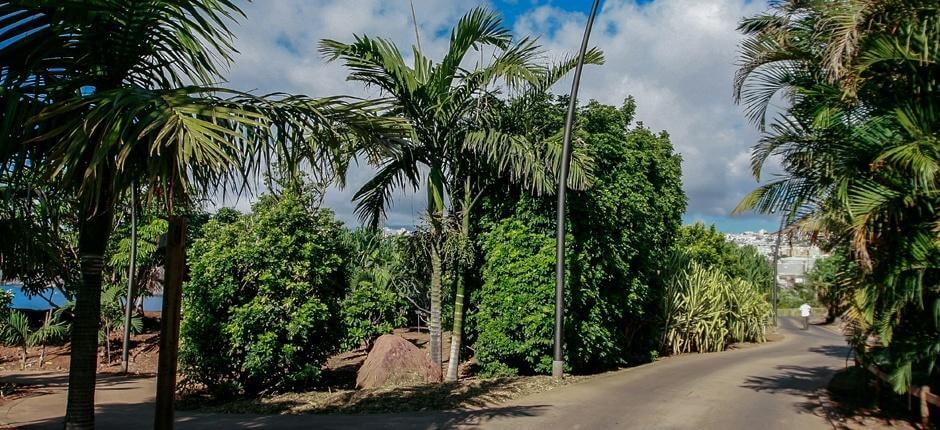 Palmetum w Santa Cruz, Muzea i centra turystyczne na wyspie Teneryfa