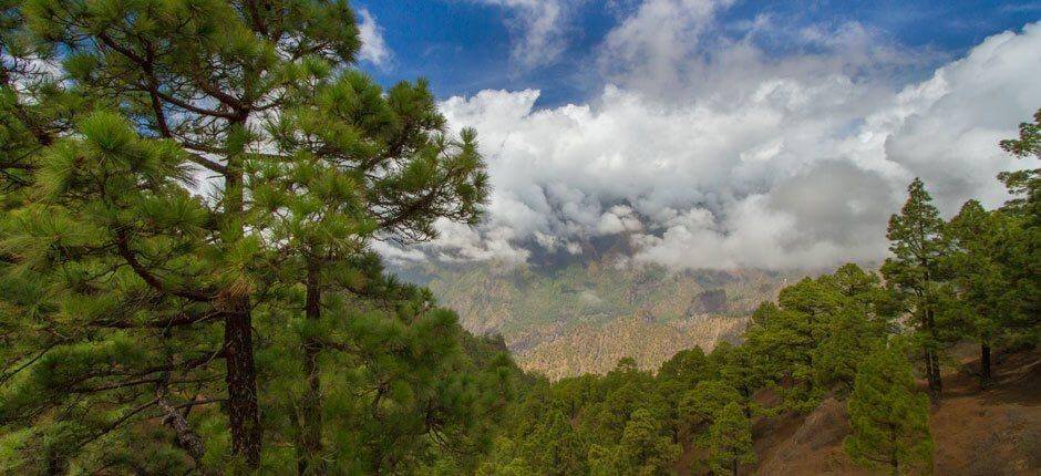Parque Nacional de la Caldera de Taburiente, en La Palma