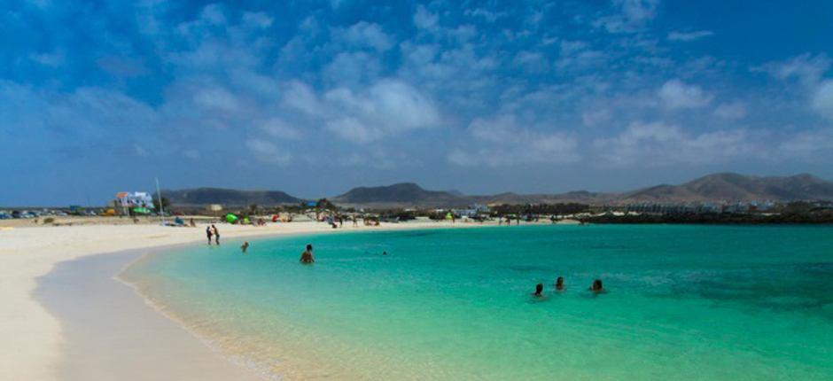 Plaża La Concha Popularne plaże na Fuerteventura