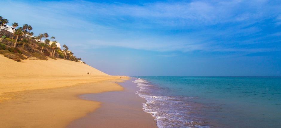 Plaża Morro Jable Popularne plaże na Fuerteventura