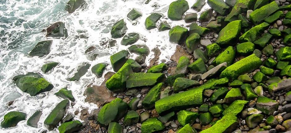 Plaża de El Ancón + Dziewicze plaże na Teneryfie