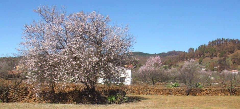 El Pinar malownicze wioski na wyspie El Hierro