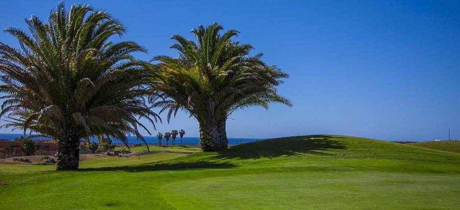 Golf Club Salinas de Antigua Pola golfowe na Fuerteventurze