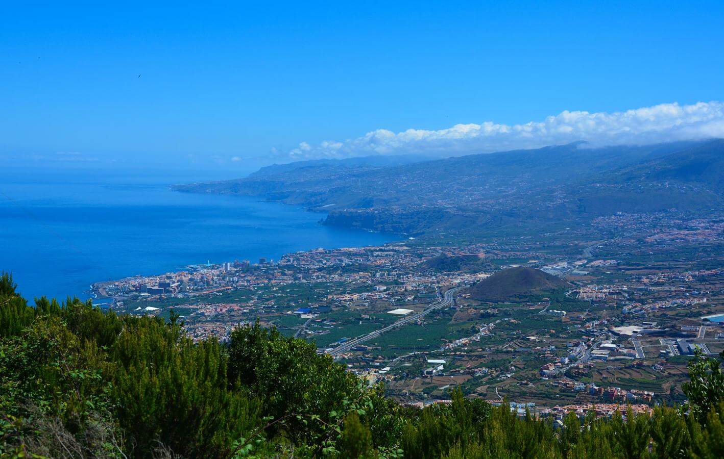 Teide - Puerto de la Cruz-Trail