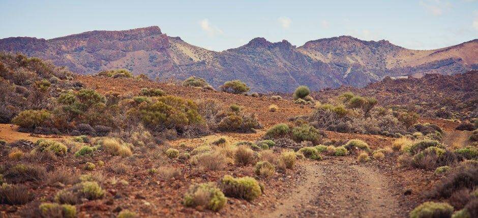 Trasy Trail Running do biegania terenowego na wyspie Teneryfa