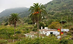 Breña Alta i Breña Baja